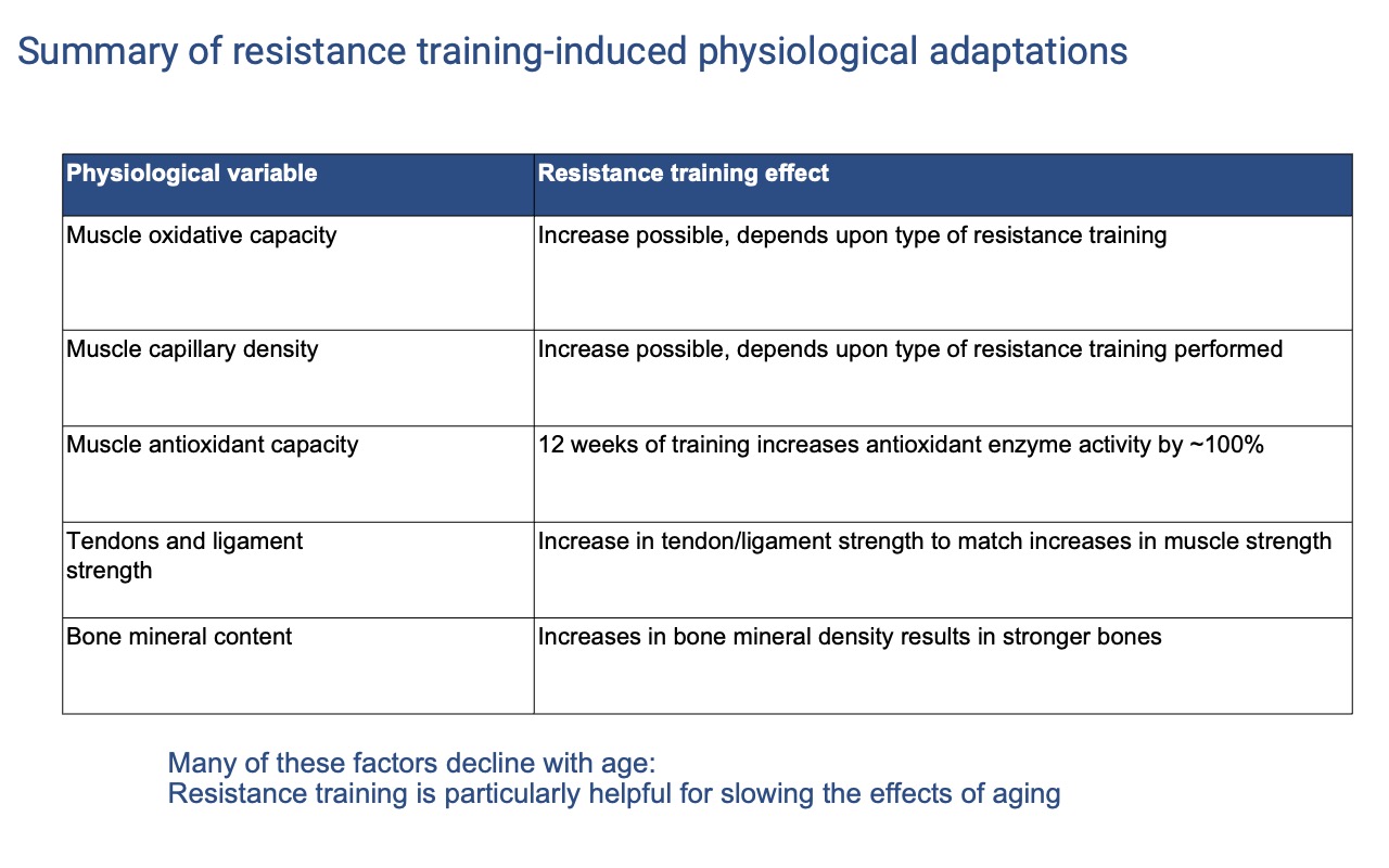 Slide titled "Summary of resistance training-induced physiological adaptations" showing a five-row table. Muscle oxidative capacity: increase possible, depends on type of training. Muscle capillary density: increase possible, depends on type of training. Muscle antioxidant capacity: 12 weeks of training increases antioxidant enzyme activity by ~100%. Tendons and ligament strength: increase to match muscle strength. Bone mineral content: increases in bone mineral density result in stronger bones. Footer: many of these factors decline with age; resistance training is particularly helpful for slowing the effects of aging.