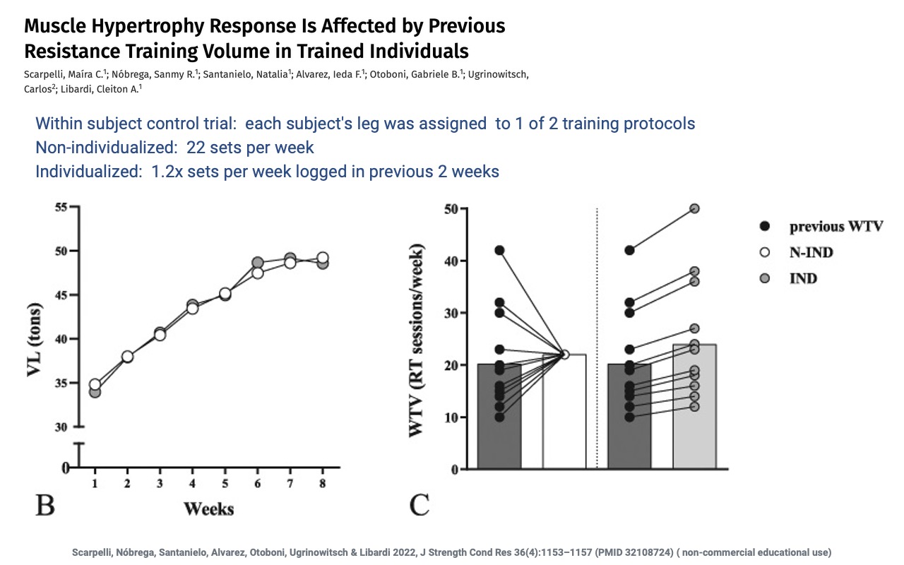 Slide titled "Muscle Hypertrophy Response Is Affected by Previous Resistance Training Volume in Trained Individuals" reproducing Figure 1B from Scarpelli et al. 2022 (PMID 32108724). Within-subject control trial: each subject's leg was assigned to one of two training protocols. Non-individualized: 22 sets per week. Individualized: 1.2× sets logged in the previous 2 weeks. Left plot (B): vastus lateralis cross-sectional area (tons) vs. weeks (1–8); both groups rise from ~34 to ~49 tons. Right plot (C): training volume (RT sessions/week) at baseline (previous WTV, black filled), N-IND (open), and IND (gray filled), with individual subject tracks.