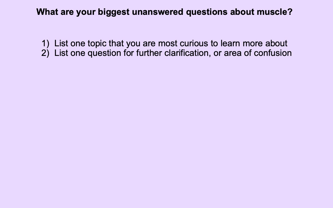 Class-activity slide with a light-purple background and the prompt "What are your biggest unanswered questions about muscle?" Two numbered items: (1) List one topic that you are most curious to learn more about; (2) List one question for further clarification, or area of confusion.