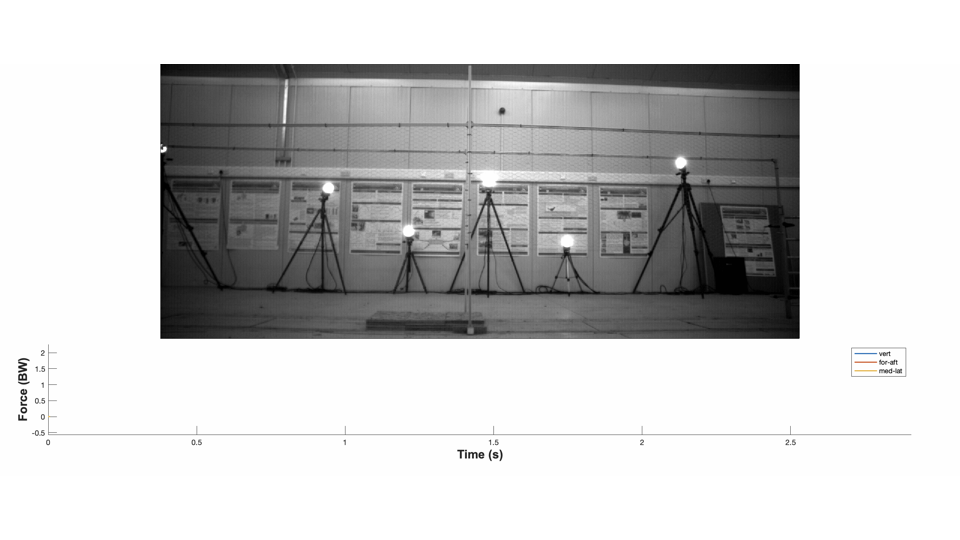 Slide showing a darkened lab interior with multiple force platforms embedded in the floor and tripod-mounted lights — the apparatus used to measure GRF during multi-step running in birds.