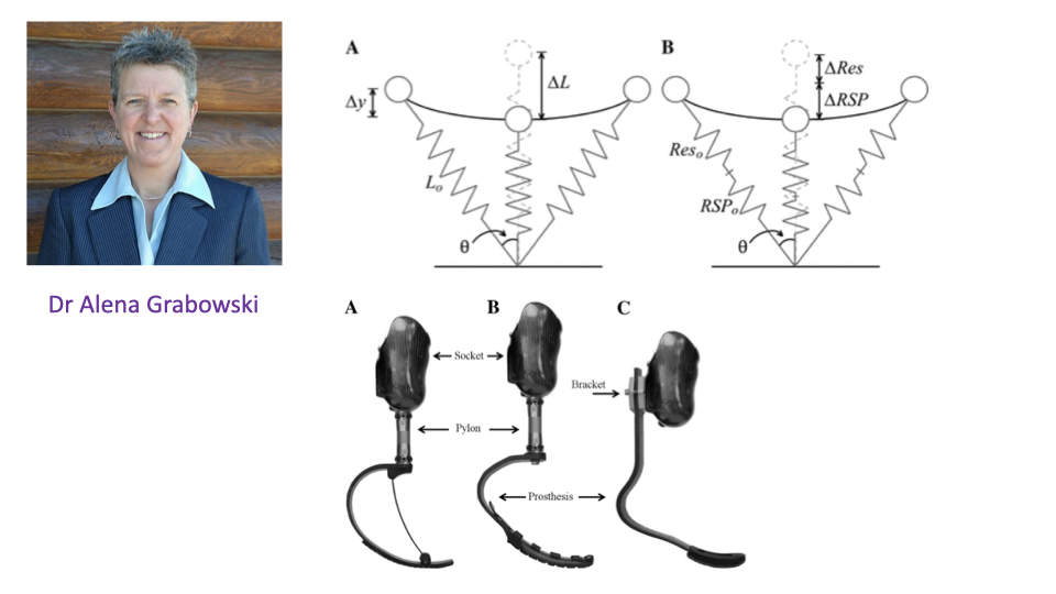 Slide titled "Reduced prosthetic stiffness lowers the metabolic cost of running for athletes with bilateral transtibial amputations" with a portrait photograph of Dr. Alena Grabowski (left). Top-right: stick-figure schematics (panels A and B) of a bouncing spring-leg model showing leg compression ΔL and prosthesis-spring deformation ΔRSP, with leg angle θ and resting lengths L₀, Res₀, RSP₀. Bottom-right: photographs of three running prosthetics (A: 1E90 Sprinter; B: Catapult FX6; C: Cheetah Xtend) with labeled socket, pylon, prosthesis, and bracket components.