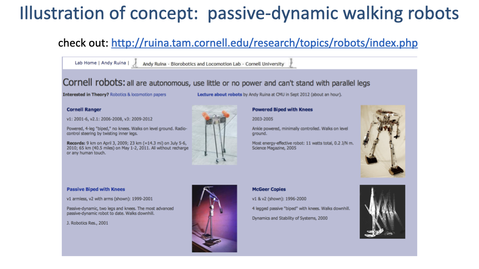Slide titled "Illustration of concept: passive-dynamic walking robots" showing a screenshot of the Cornell Robotics Lab page for Andy Ruina's group, with photographs of four passive or minimally actuated bipedal walking robots: Cornell Ranger, Powered Biped with Knees, Passive Biped with Knees, and McGeer Copies. URL: http://ruina.tam.cornell.edu/research/topics/robots/index.php.