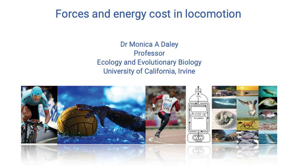 Title slide for "Forces and energy cost in locomotion" by Dr. Monica A. Daley, Professor, Ecology and Evolutionary Biology, University of California, Irvine. The same background collage used in earlier lectures shows a cyclist, water polo player, swimmer, sprinter, an oxygen cascade schematic, and a row of comparative species.