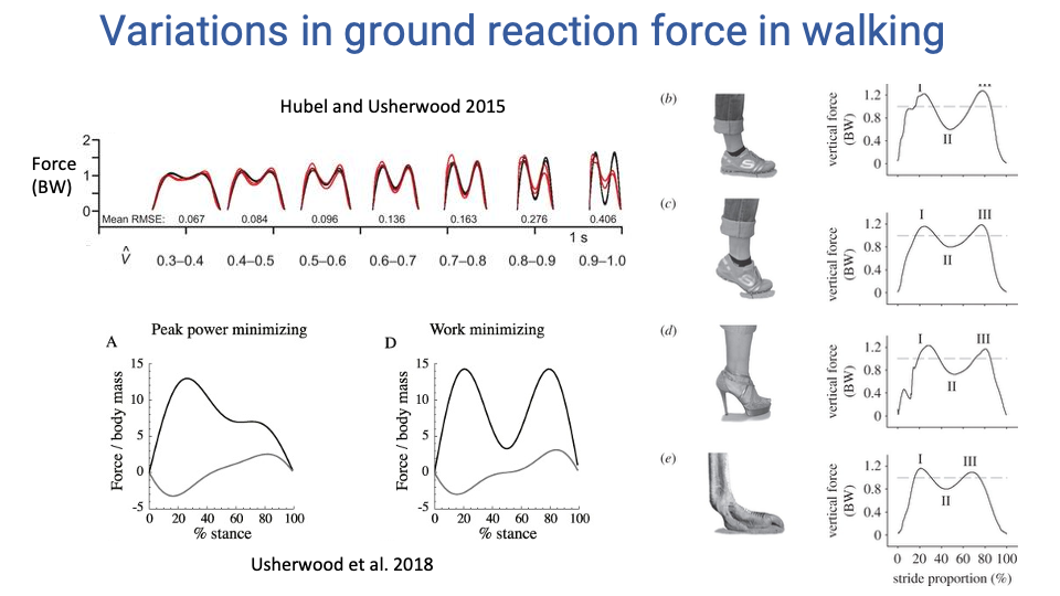Slide titled "Variations in ground reaction force in walking" with two figure clusters. Top-left: a series of vertical-force traces vs. % stance for human walking at progressively faster speeds (Hubel and Usherwood 2015), showing the characteristic M-shaped double-hump pattern with the mid-stance trough deepening at higher speeds; speed bins are labeled 0.3-0.4, 0.4-0.5, 0.5-0.6, 0.6-0.7, 0.7-0.8, 0.8-0.9, 0.9-1.0 (dimensionless speed). Bottom-left: two GRF traces from Usherwood et al. 2018 — Panel A "Peak power minimizing" shows an M-shape with both peaks of similar height, Panel D "Work minimizing" shows an asymmetric M-shape where the second peak is shorter than the first. Right column: four small panels (b, c, d, e) showing photographs of different foot postures (ostrich-like high-heel, plantigrade barefoot, walking shoe, high-heel platform) above their corresponding vertical-force traces, illustrating how foot morphology and footwear change the GRF shape — in particular, traces with a plantigrade heel-first contact show a clear early impact peak ("I") preceding the main M-shape peaks.