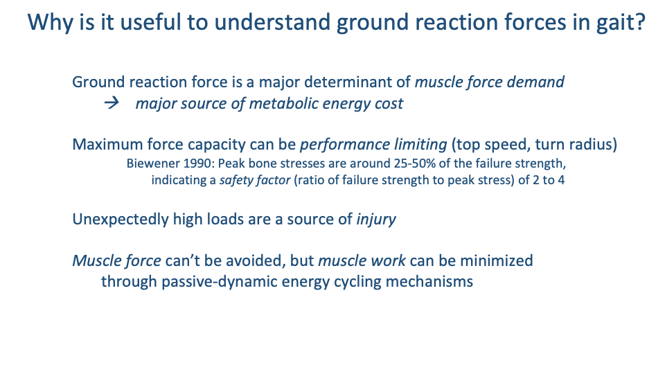Slide titled "Why is it useful to understand ground reaction forces in gait?" with four bulleted points in dark blue: Ground reaction force is a major determinant of muscle force demand → major source of metabolic energy cost; Maximum force capacity can be performance limiting (top speed, turn radius), with Biewener 1990: Peak bone stresses are around 25-50% of failure strength, indicating a safety factor (ratio of failure strength to peak stress) of 2 to 4; Unexpectedly high loads are a source of injury; Muscle force can't be avoided, but muscle work can be minimized through passive-dynamic energy cycling mechanisms.