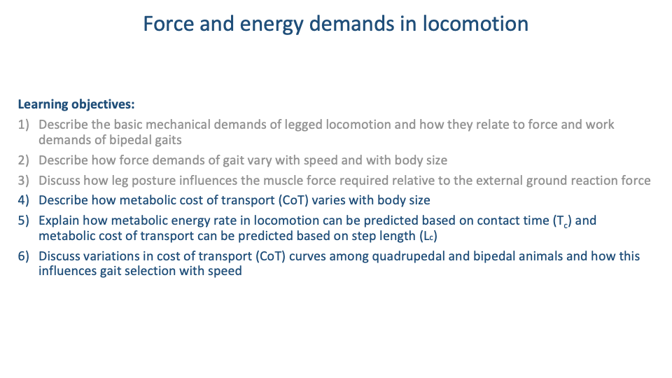 Slide titled "Force and energy demands in locomotion" listing six numbered learning objectives in dark blue: 1) Describe the basic mechanical demands of legged locomotion and how they relate to force and work demands of bipedal gaits; 2) Describe how force demands of gait vary with speed and with body size; 3) Discuss how leg posture influences the muscle force required relative to the external ground reaction force; 4) Describe how metabolic cost of transport (CoT) varies with body size; 5) Explain how metabolic energy rate in locomotion can be predicted based on contact time (T_c) and metabolic cost of transport can be predicted based on step length (L_c); 6) Discuss variations in cost of transport (CoT) curves among quadrupedal and bipedal animals and how this influences gait selection with speed.