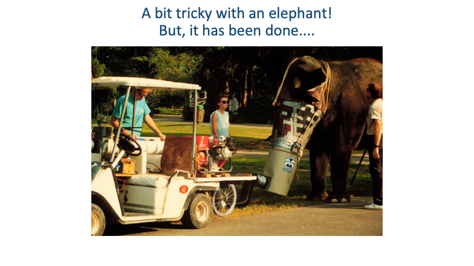 Slide titled "A bit tricky with an elephant! But, it has been done…" Photograph shows an elephant fitted with a custom-built respirometry mask made from a large repurposed plastic garbage bin attached over the trunk; a pump and analyzer rig sits on a small golf cart beside the elephant; two researchers walk alongside, leading the elephant.