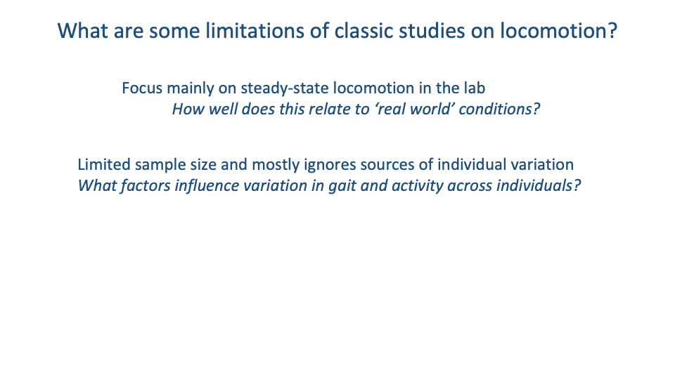 Slide titled "What are some limitations of classic studies on locomotion?" with two paragraphs in dark blue. First paragraph: "Focus mainly on steady-state locomotion in the lab — How well does this relate to 'real world' conditions?" Second paragraph: "Limited sample size and mostly ignores sources of individual variation — What factors influence variation in gait and activity across individuals?"