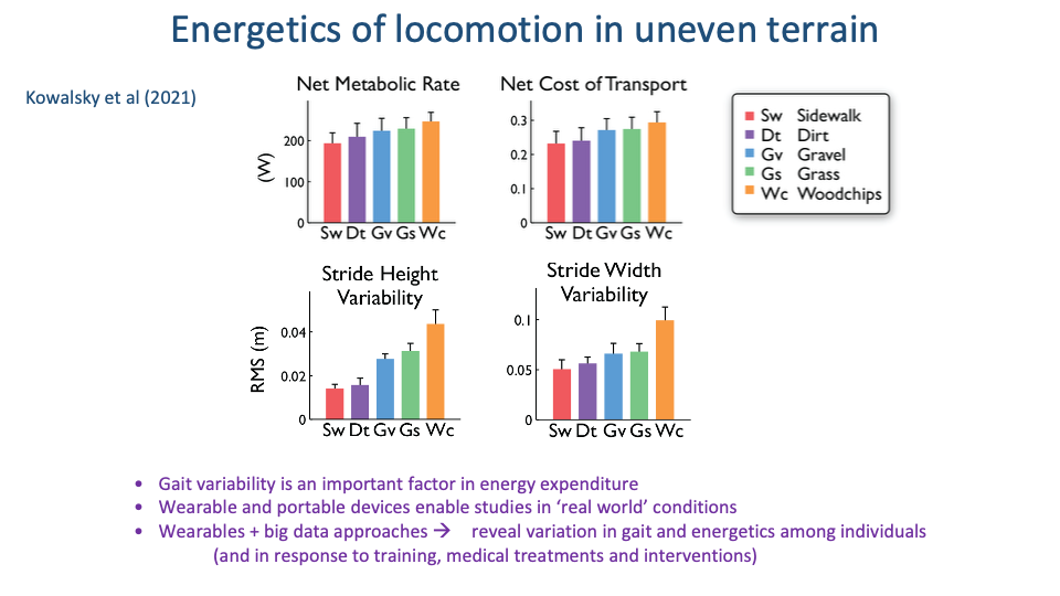 Slide continuing "Energetics of locomotion in uneven terrain" with citation Kowalsky et al (2021). Four bar charts comparing five terrain conditions (Sw=Sidewalk red, Dt=Dirt purple, Gv=Gravel blue, Gs=Grass green, Wc=Woodchips orange). Top-left: Net Metabolic Rate (W) — bars rise from ~190 (Sw) to ~250 (Wc), with error bars. Top-right: Net Cost of Transport (J kg⁻¹ m⁻¹) — bars rise from ~0.23 (Sw) to ~0.29 (Wc). Bottom-left: Stride Height Variability (RMS in m) — bars rise from ~0.015 (Sw, Dt) to ~0.045 (Wc). Bottom-right: Stride Width Variability — bars rise from ~0.05 (Sw) to ~0.10 (Wc). Three purple bullet points below: "Gait variability is an important factor in energy expenditure"; "Wearable and portable devices enable studies in 'real world' conditions"; "Wearables + big data approaches → reveal variation in gait and energetics among individuals (and in response to training, medical treatments and interventions)."