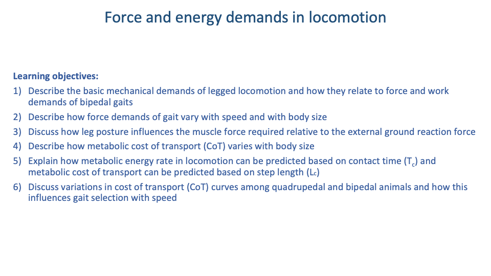 Slide titled "Force and energy demands in locomotion" with the same six numbered learning objectives as Slide 12, reproduced verbatim.