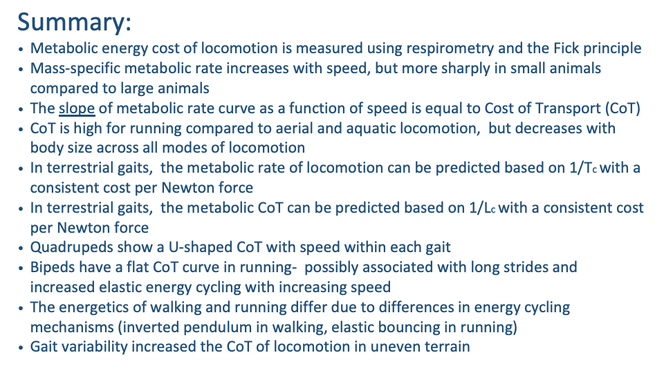 Slide titled "Summary:" with ten bulleted points in dark blue: Metabolic energy cost of locomotion is measured using respirometry and the Fick principle; Mass-specific metabolic rate increases with speed, but more sharply in small animals compared to large animals; The slope of metabolic rate curve as a function of speed is equal to Cost of Transport (CoT); CoT is high for running compared to aerial and aquatic locomotion, but decreases with body size across all modes of locomotion; In terrestrial gaits, the metabolic rate of locomotion can be predicted based on 1/T_c with a consistent cost per Newton force; In terrestrial gaits, the metabolic CoT can be predicted based on 1/L_c with a consistent cost per Newton force; Quadrupeds show a U-shaped CoT with speed within each gait; Bipeds have a flat CoT curve in running — possibly associated with long strides and increased elastic energy cycling with increasing speed; The energetics of walking and running differ due to differences in energy cycling mechanisms (inverted pendulum in walking, elastic bouncing in running); Gait variability increased the CoT of locomotion in uneven terrain.