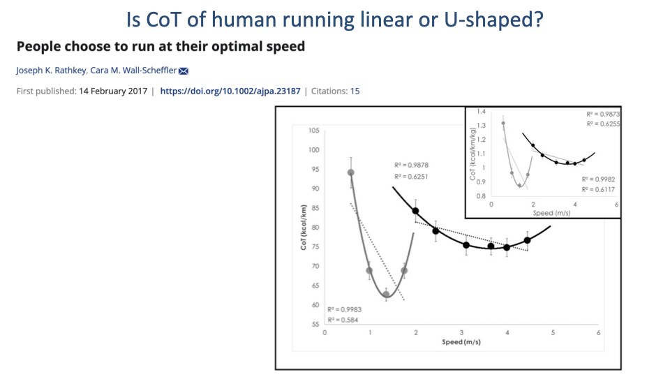 Slide titled "Is CoT of human running linear or U-shaped?" with the header "People choose to run at their optimal speed" and citation Joseph K. Rathkey, Cara M. Wall-Scheffler (first published 14 February 2017, https://doi.org/10.1002/ajpa.23187). Main plot: CoT (kcal/km, y-axis 55 to 105) vs Speed (m/s, x-axis 0 to 6). Gray data points (walking) form a U-shape with minimum near 1.4 m/s at CoT ~62, fit with a steep U-shaped curve labeled R²=0.9983. Black data points (running) span 2-5 m/s with CoT around 75-85, fit with a shallower U-shaped curve with minimum near 3 m/s at CoT ~75 (R²=0.9878). Two linear-fit trend lines (dotted) are also overlaid for each. Inset (top right): same data plotted with finer scale — clearly shows the U-shape of the running curve. Statistics R² values shown for both linear and curvilinear fits.