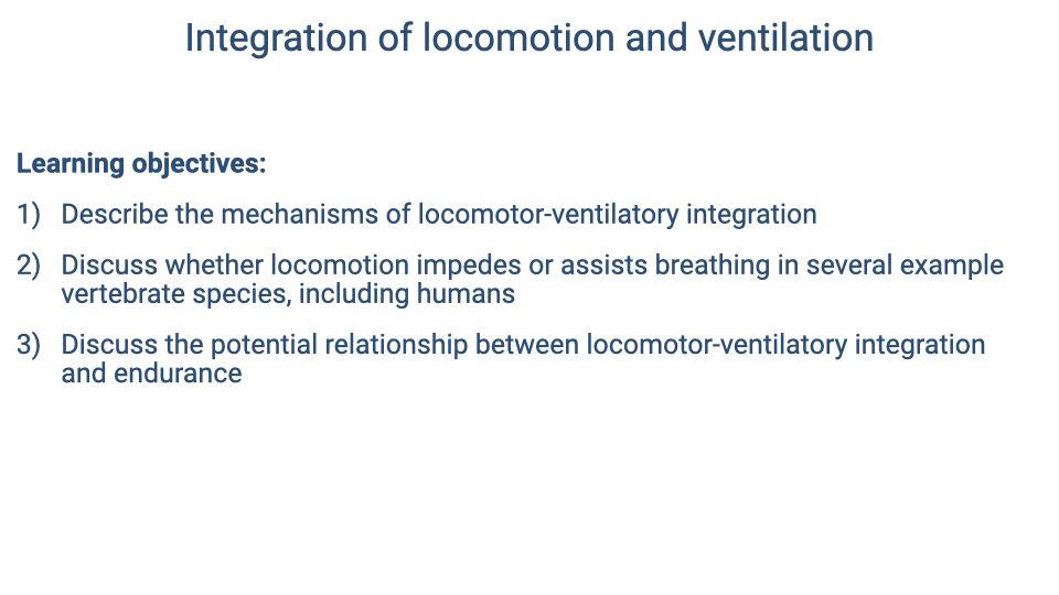 Slide titled "Integration of locomotion and ventilation" listing three learning objectives: (1) Describe the mechanisms of locomotor-ventilatory integration; (2) Discuss whether locomotion impedes or assists breathing in several example vertebrate species, including humans; (3) Discuss the potential relationship between locomotor-ventilatory integration and endurance.