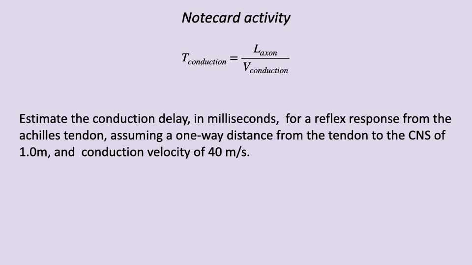 Slide with purple background titled "Notecard activity" showing the conduction delay equation T_conduction = L_axon / V_conduction. Task: "Estimate the conduction delay, in milliseconds, for a reflex response from the achilles tendon, assuming a one-way distance from the tendon to the CNS of 1.0 m, and conduction velocity of 40 m/s."