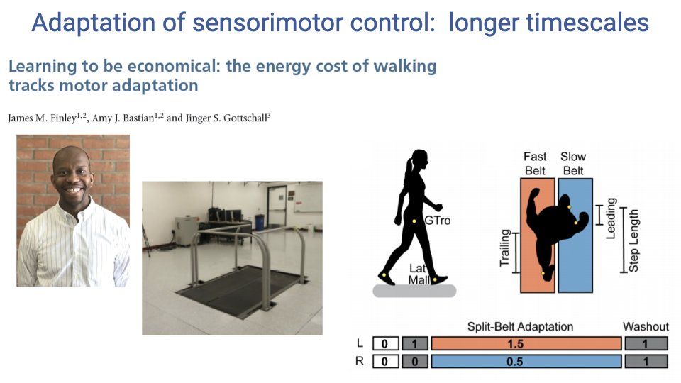 Slide titled "Adaptation of sensorimotor control: longer timescales" referencing a paper by Finley, Bastian, and Gottschall: "Learning to be economical: the energy cost of walking tracks motor adaptation." Left shows a photo of James Finley. Center shows a silhouette of a person walking on a split-belt treadmill with labels for ground reaction force (GRF), lateral malleolus (Lat. Mal.), and the greater trochanter (GTro). Right shows a diagram of the split-belt treadmill with fast belt (1.5 m/s) and slow belt (0.5 m/s), plus measurements of leading and trailing step length. Below shows the experimental protocol: baseline (both belts at 1 m/s), then split-belt adaptation (left 1.5, right 0.5), then washout (both at 1 m/s).