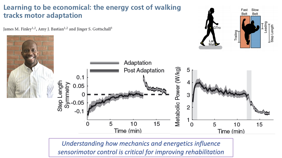 Slide showing results from Finley, Bastian, and Gottschall. Left graph shows step length symmetry over 15 minutes during adaptation (gray line) and post-adaptation/washout (black line). During adaptation, step length symmetry starts negative (asymmetric) and gradually returns toward zero (symmetric) over ~10 minutes. Post-adaptation shows an aftereffect that also decays. Right graph shows metabolic power (W/kg) over the same time course: metabolic cost starts elevated during early adaptation and decreases as step length symmetry improves, suggesting the nervous system optimizes toward lower energy cost. Text box: "Understanding how mechanics and energetics influence sensorimotor control is critical for improving rehabilitation."