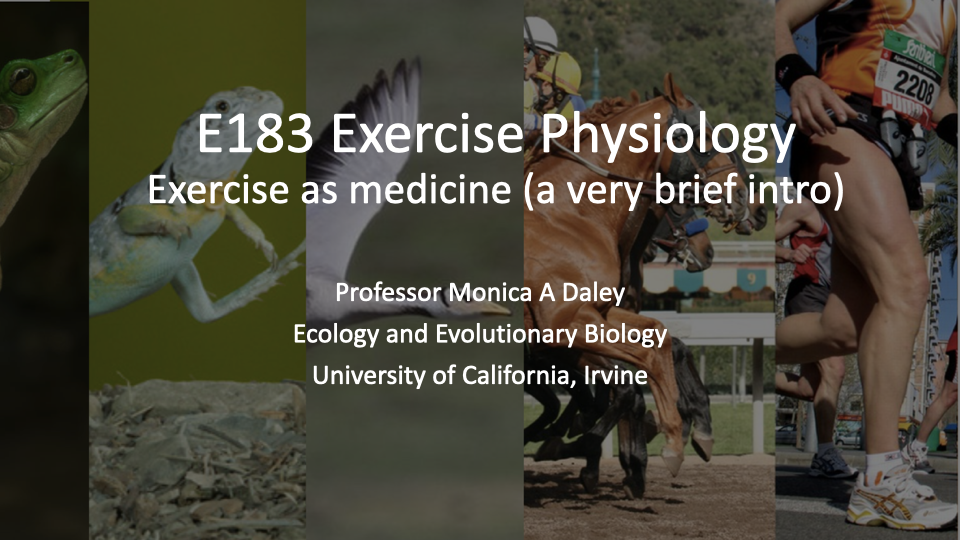 Title slide for E183 Exercise Physiology showing the subtitle "Exercise as medicine (a very brief intro)" by Professor Monica A. Daley, Ecology and Evolutionary Biology, University of California, Irvine. Background collage features photos of diverse animals and a human runner.