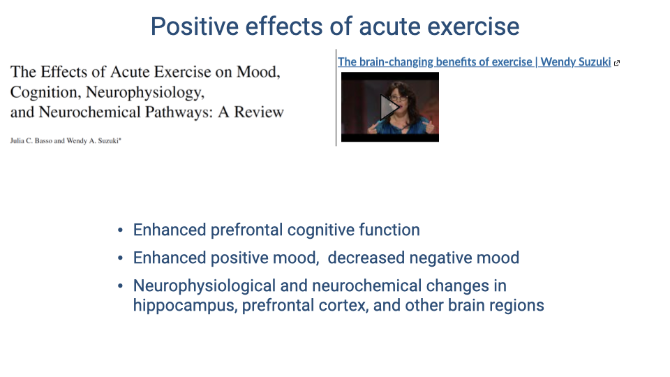Slide titled "Positive effects of acute exercise" showing the same review by Basso and Suzuki with a video thumbnail. Three summary bullet points: enhanced prefrontal cognitive function; enhanced positive mood and decreased negative mood; neurophysiological and neurochemical changes in hippocampus, prefrontal cortex, and other brain regions.